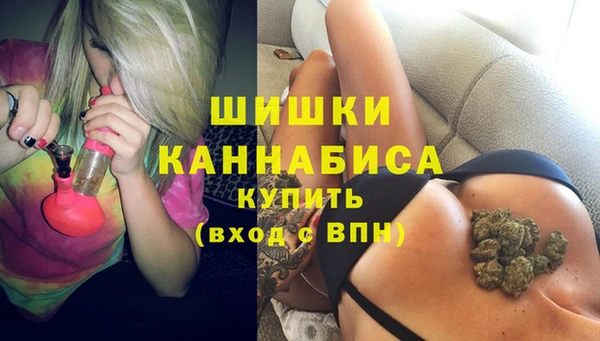прущие грибы Волоколамск