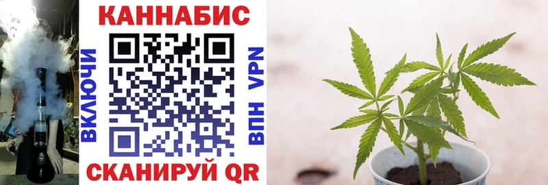 маркетплейс телеграм  OMG как зайти  Новоржев  МАРИХУАНА OG Kush 